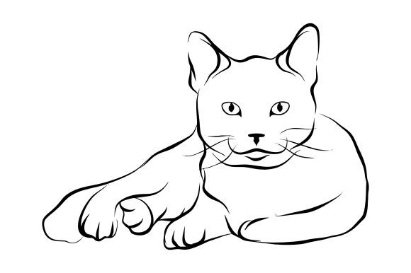Download Cat Line Art Vector - Premium Resources